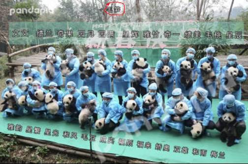 巴卡巴卡网红全民,全民狂欢背后的网络奇迹