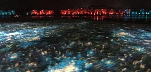 夜景网红打卡拍照姿势,网红打卡拍照姿势全解析