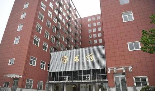 北流新圩镇今日头条招聘,今日头条最新职位速览