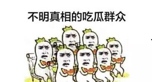 吃瓜登记,揭秘吃瓜登记背后的故事