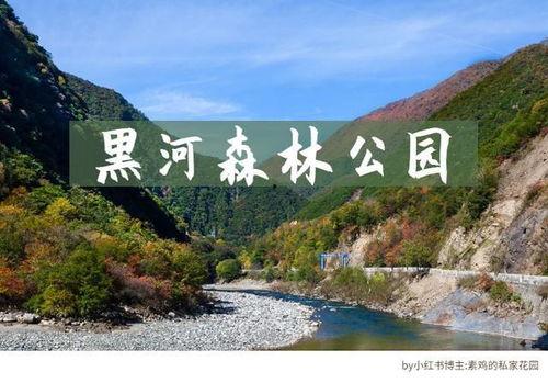 网红景点景区预约方式有,轻松畅游热门景区