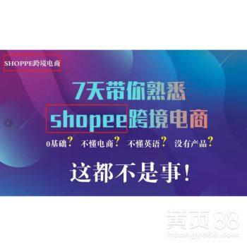 网红营销词,揭秘爆款内容背后的秘密”