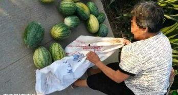 近期热门吃瓜事件韩城,揭秘近期热门吃瓜事件背后的真相