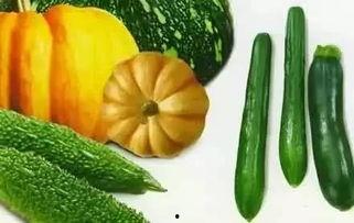 黑色料吃瓜推荐,揭秘娱乐圈背后的秘密与真相