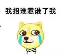 妹子回复吃瓜表情,揭秘妹子神秘表情背后的故事