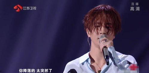 网红假唱王子是谁,揭秘网络红人假唱之谜