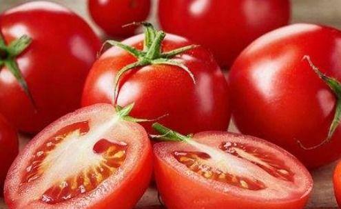 吃瓜番茄小说推文,揭秘娱乐圈背后的秘密与真相