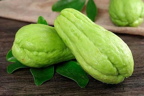 拉米吃两瓜,探寻瓜果美食的奇妙之旅