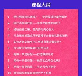 网红培训视频教程下载