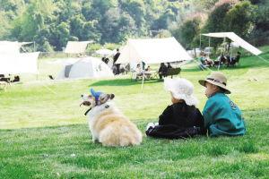 防城区网红露营基地,网红露营基地的浪漫星空之旅”
