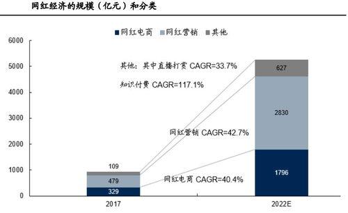 网红营销的定义,新时代品牌传播的利器