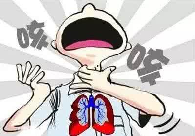 肺结核患者可以吃瓜,适量吃瓜，助力康复