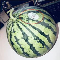 19年网红吃瓜,揭秘娱乐圈幕后真相