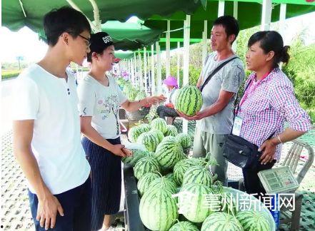 阜阳最新吃瓜事件新闻,真相揭秘引网友热议