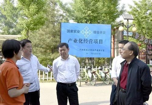 富川农民头条新闻,丰收喜悦与乡村振兴新篇章