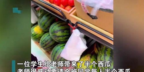 吃瓜老师吉林,揭秘东北美食背后的文化故事