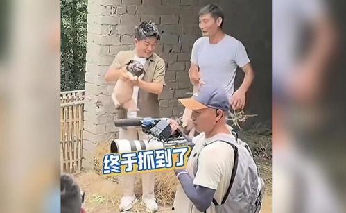 头条龙洋,揭秘头条背后的神秘力量