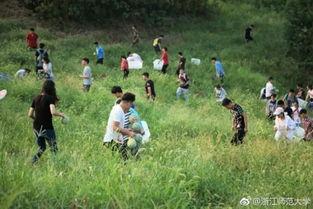 林老师不想旅行摘瓜,拒绝旅行，只为摘得心中那颗“瓜”