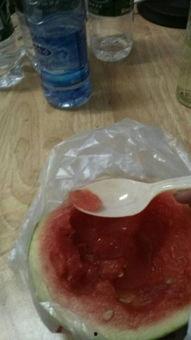 仓鼠可以吃瓜囊吗