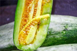 毛瓜心可以吃吗,可食用之谜，揭秘其营养价值与食用方法
