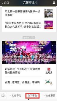 顾北紫头条,揭秘明星幕后故事，带你走进娱乐圈的繁华与喧嚣