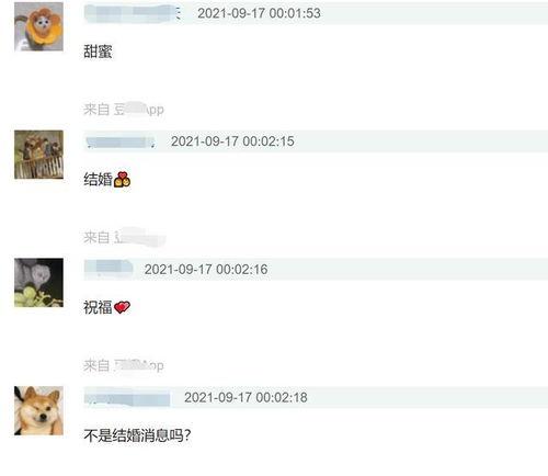 吃瓜秒回信息,信息传递新风尚