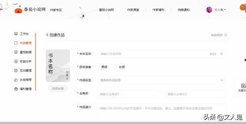 头条小说作者名怎么取得,揭秘创作背后的故事