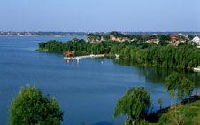 淮阳龙湖镇今日头条,探寻古韵新颜，共话乡村振兴