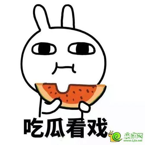 娱乐吃瓜酱曾经有多火